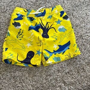 Undersea Swim trunks